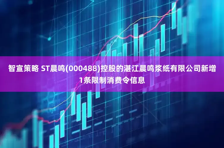 智宣策略 ST晨鸣(000488)控股的湛江晨鸣浆纸有限公司新增1条限制消费令信息