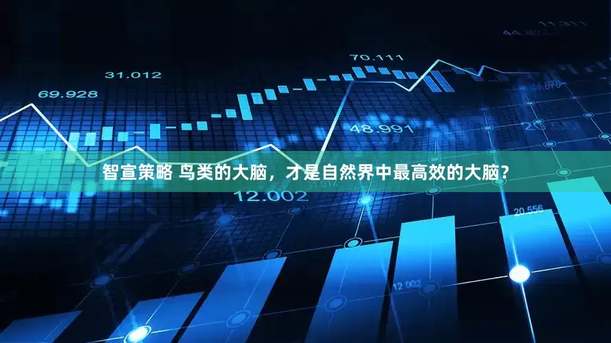 智宣策略 鸟类的大脑，才是自然界中最高效的大脑？