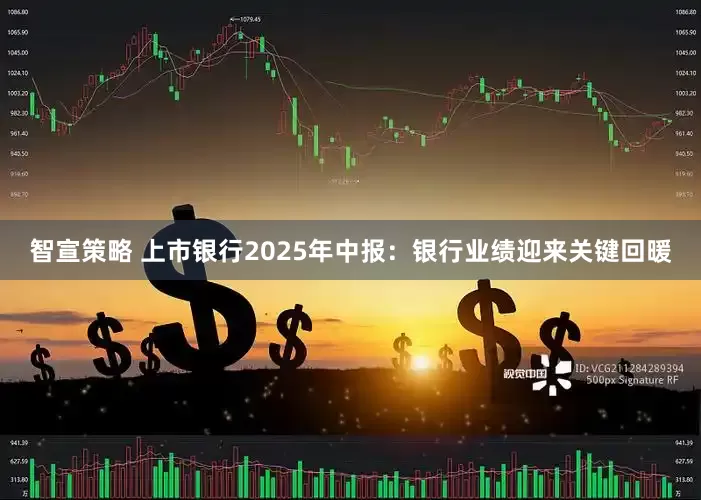 智宣策略 上市银行2025年中报：银行业绩迎来关键回暖
